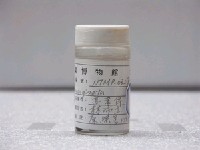 藏品(緣頂鬚鳚)的圖片